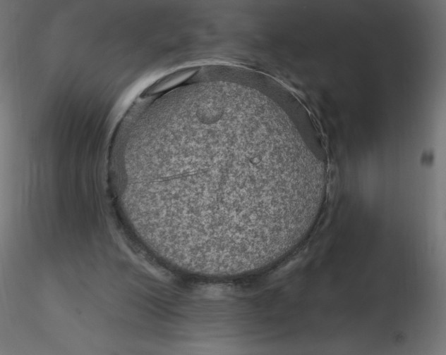 X0000116590200200912312043