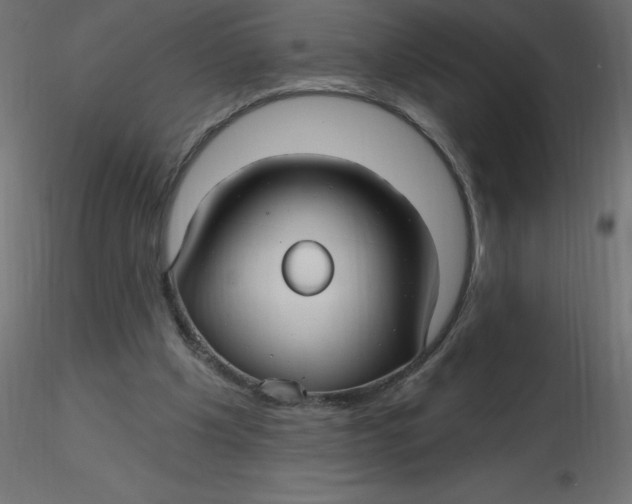 X0000116590201200912312043