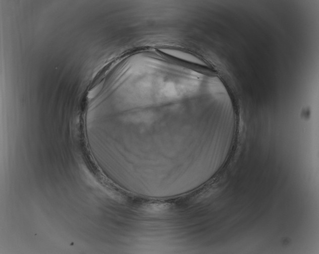 X0000116590202200912312043