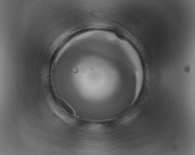 X0000116590203200912312043