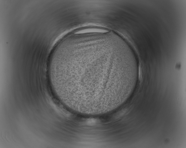 X0000116590204200912312043