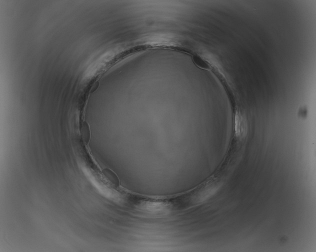 X0000116590205200912312043