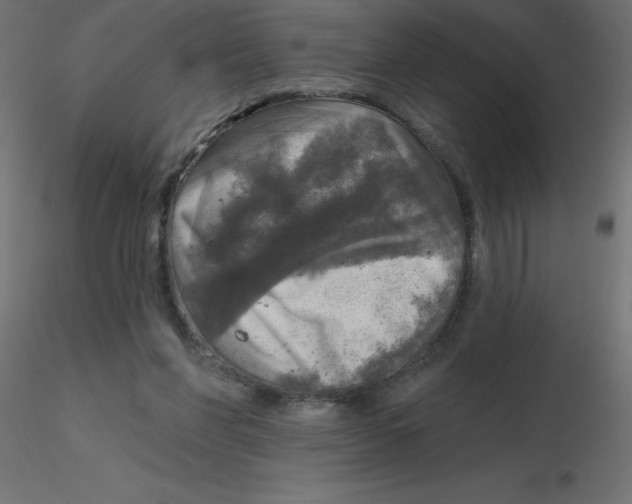 X0000116590206200912312043