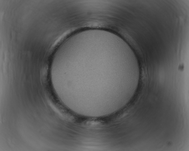 X0000116590208200912312043