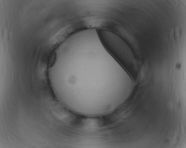 X0000116590209200912312043