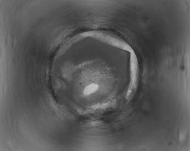 X0000116590210200912312043