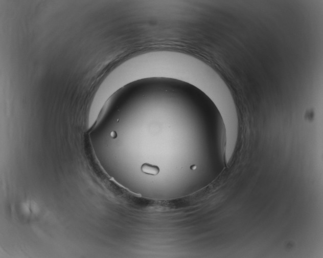 X0000116590211200912312043