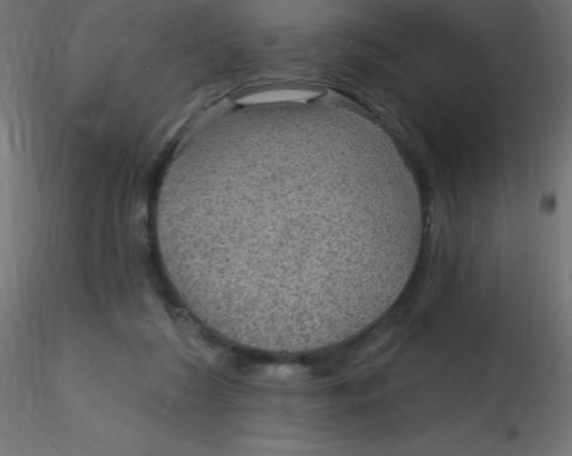 X0000116590212200912312043