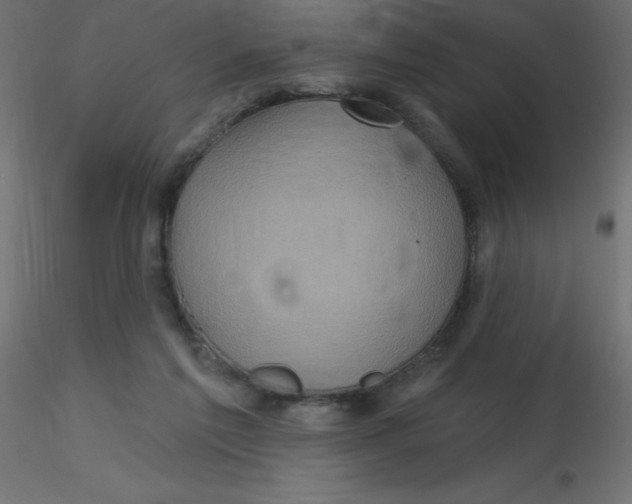 X0000116590213200912312043