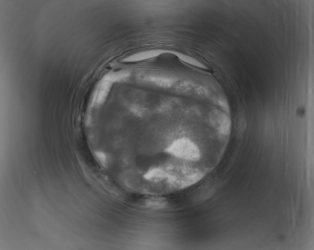 X0000116590214200912312043