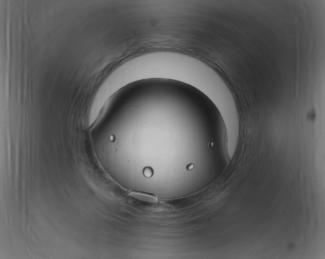 X0000116590215200912312043