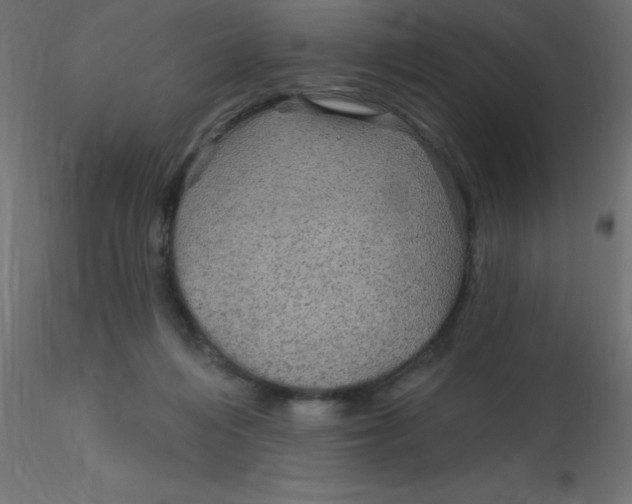 X0000116590216200912312043