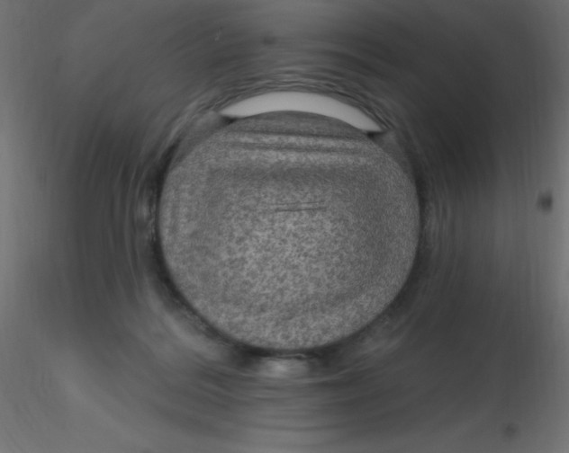 X0000116590220200912312043