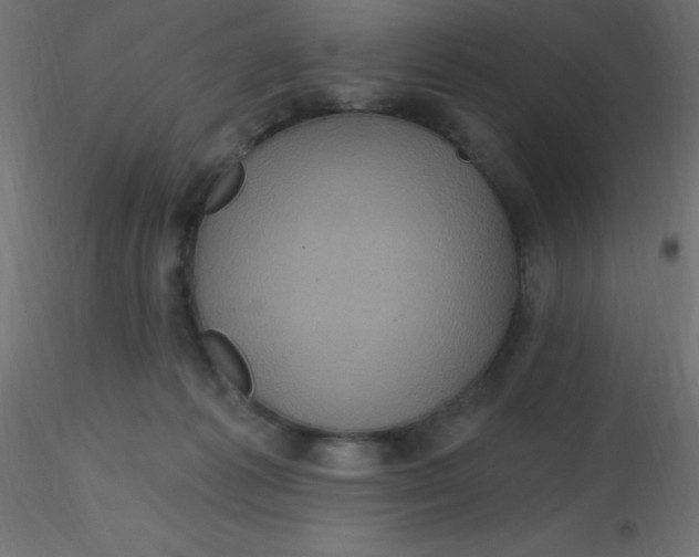 X0000116590221200912312043