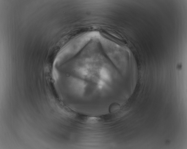 X0000116590222200912312043