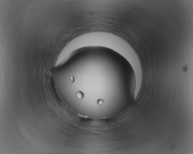 X0000116590223200912312043