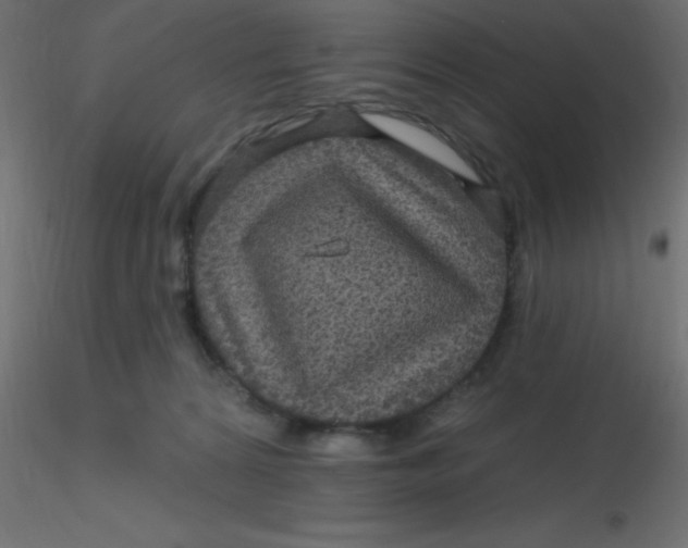 X0000116590224200912312043