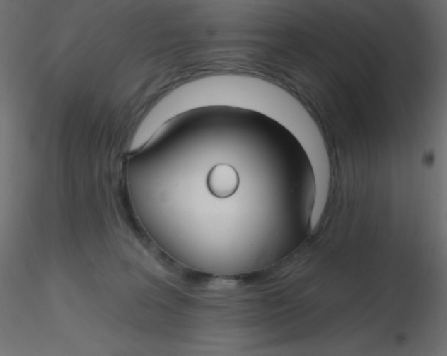 X0000116590227200912312043