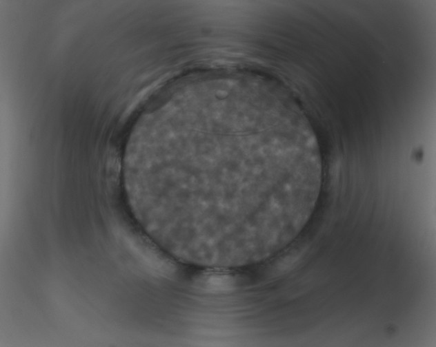 X0000116590228200912312043