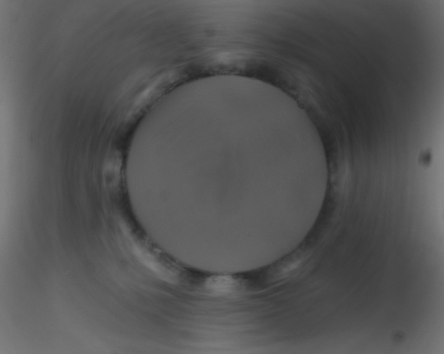 X0000116590231200912312042