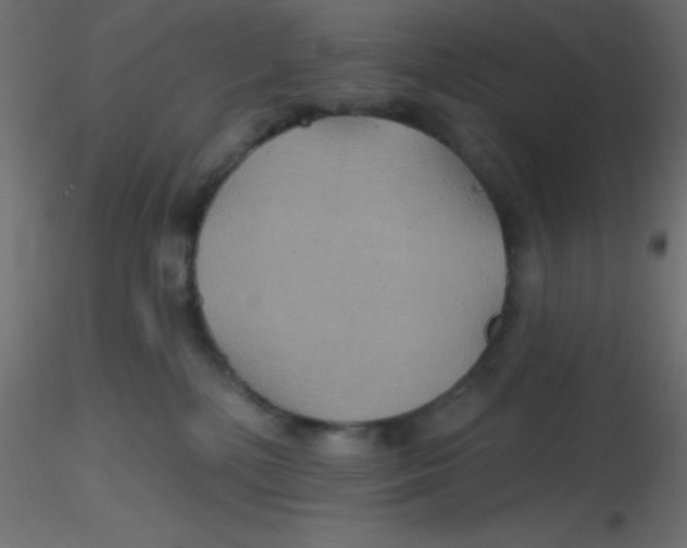 X0000116590232200912312042