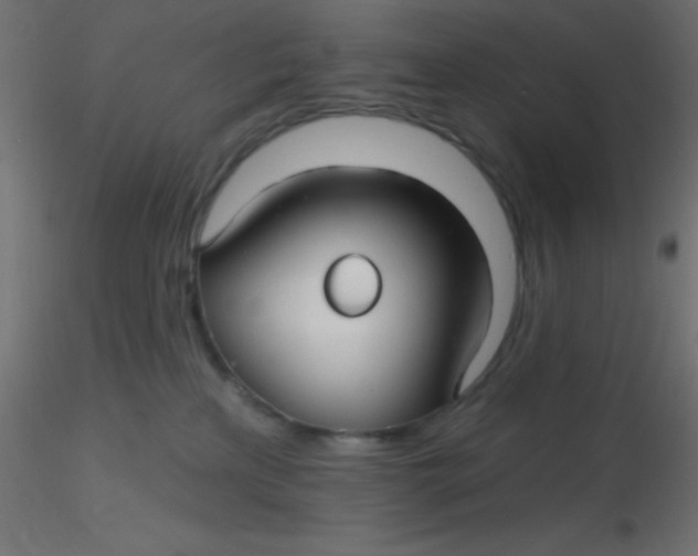 X0000116590233200912312042