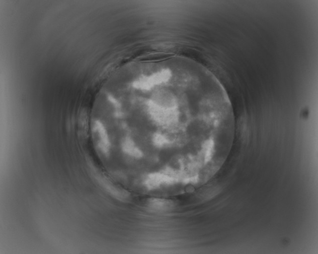 X0000116590234200912312042