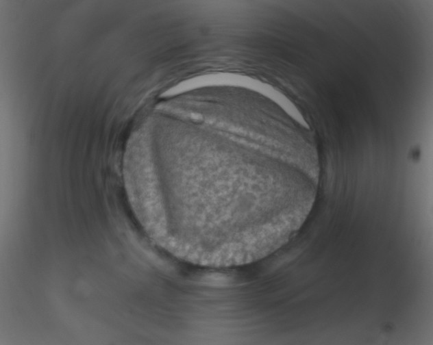 X0000116590236200912312042