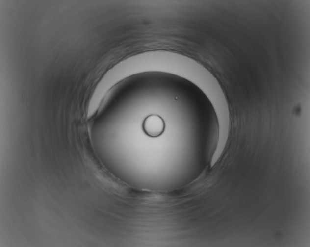 X0000116590237200912312042