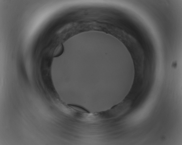 X0000116590239200912312042