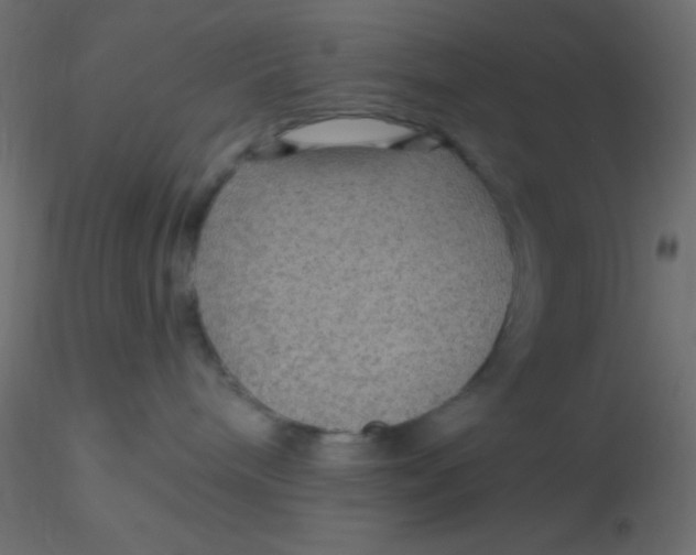 X0000116590240200912312042