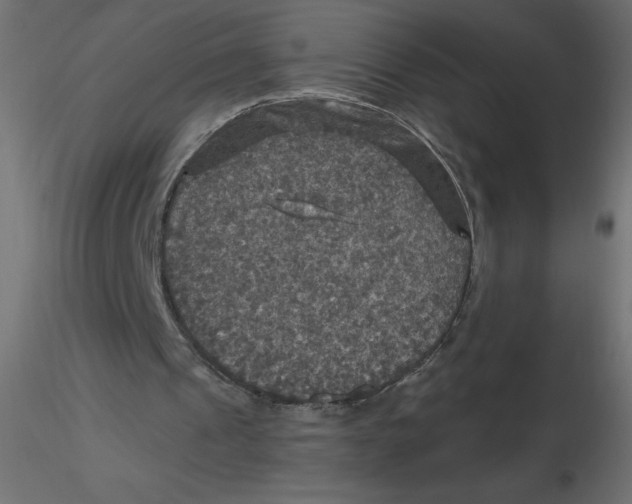 X0000116590241200912312042