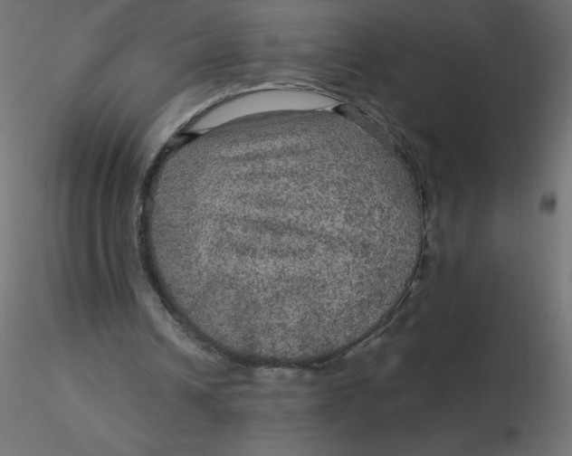 X0000116590242200912312042