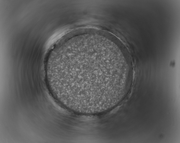 X0000116590245200912312042