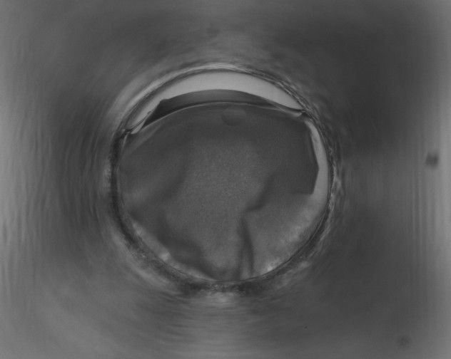 X0000116590247200912312042