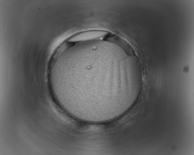 X0000116590248200912312042