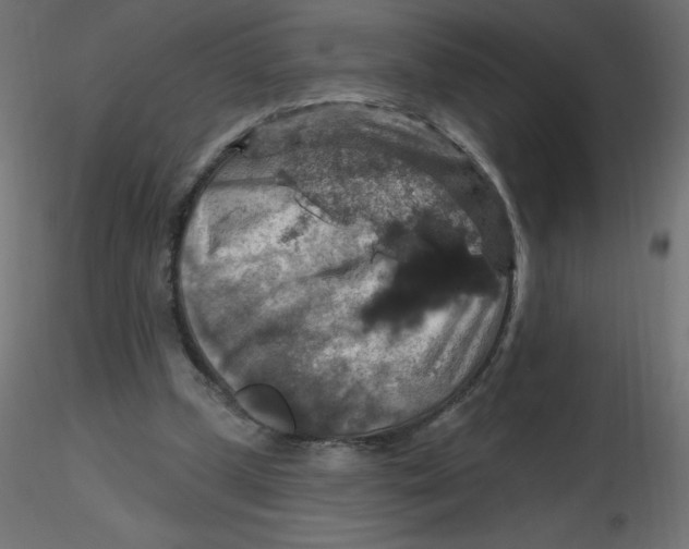 X0000116590249200912312042