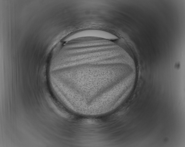 X0000116590250200912312042