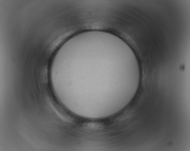 X0000116590251200912312042