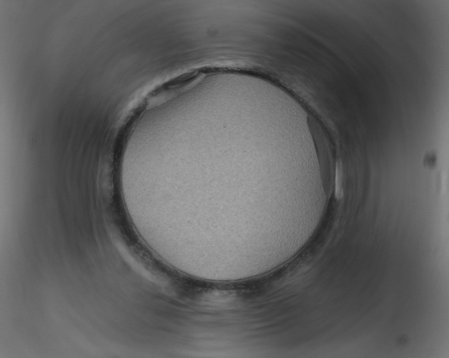 X0000116590252200912312042