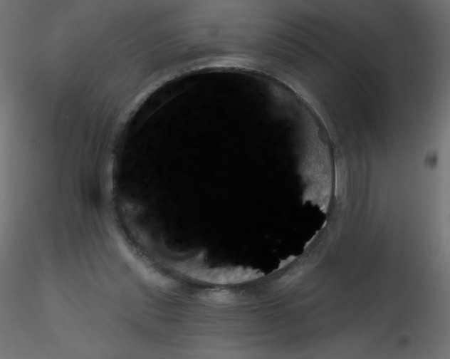 X0000116590253200912312042