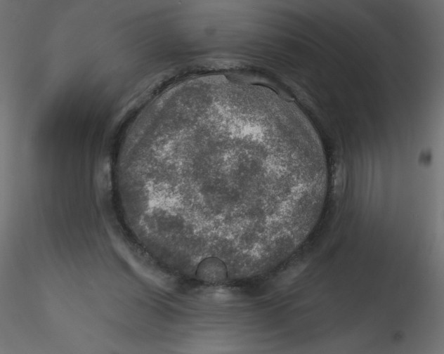 X0000116590254200912312042