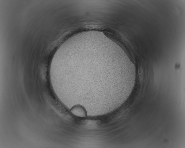 X0000116590255200912312042