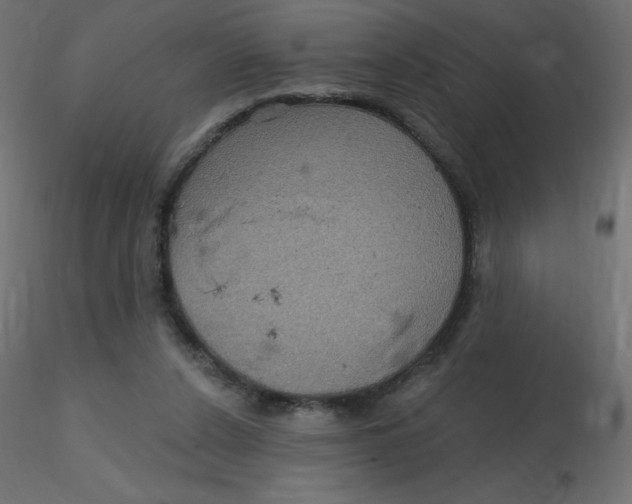 X0000116590256200912312042