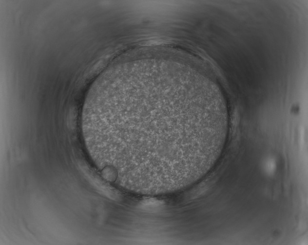 X0000116590257200912312042