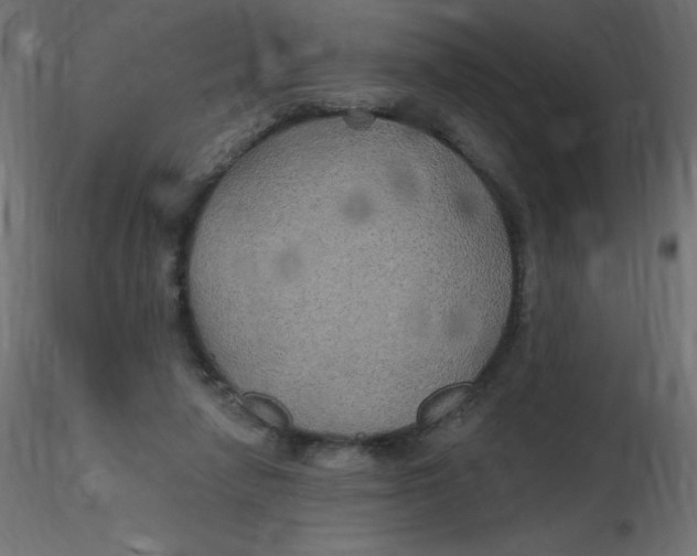 X0000116590258200912312042