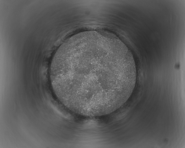 X0000116590259200912312042