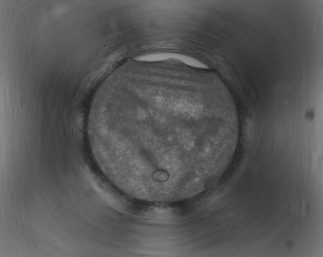 X0000116590260200912312042