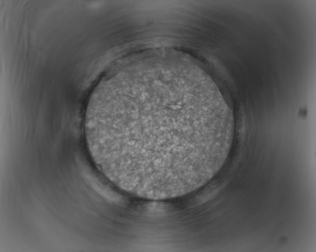 X0000116590261200912312042