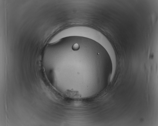 X0000116590264200912312042